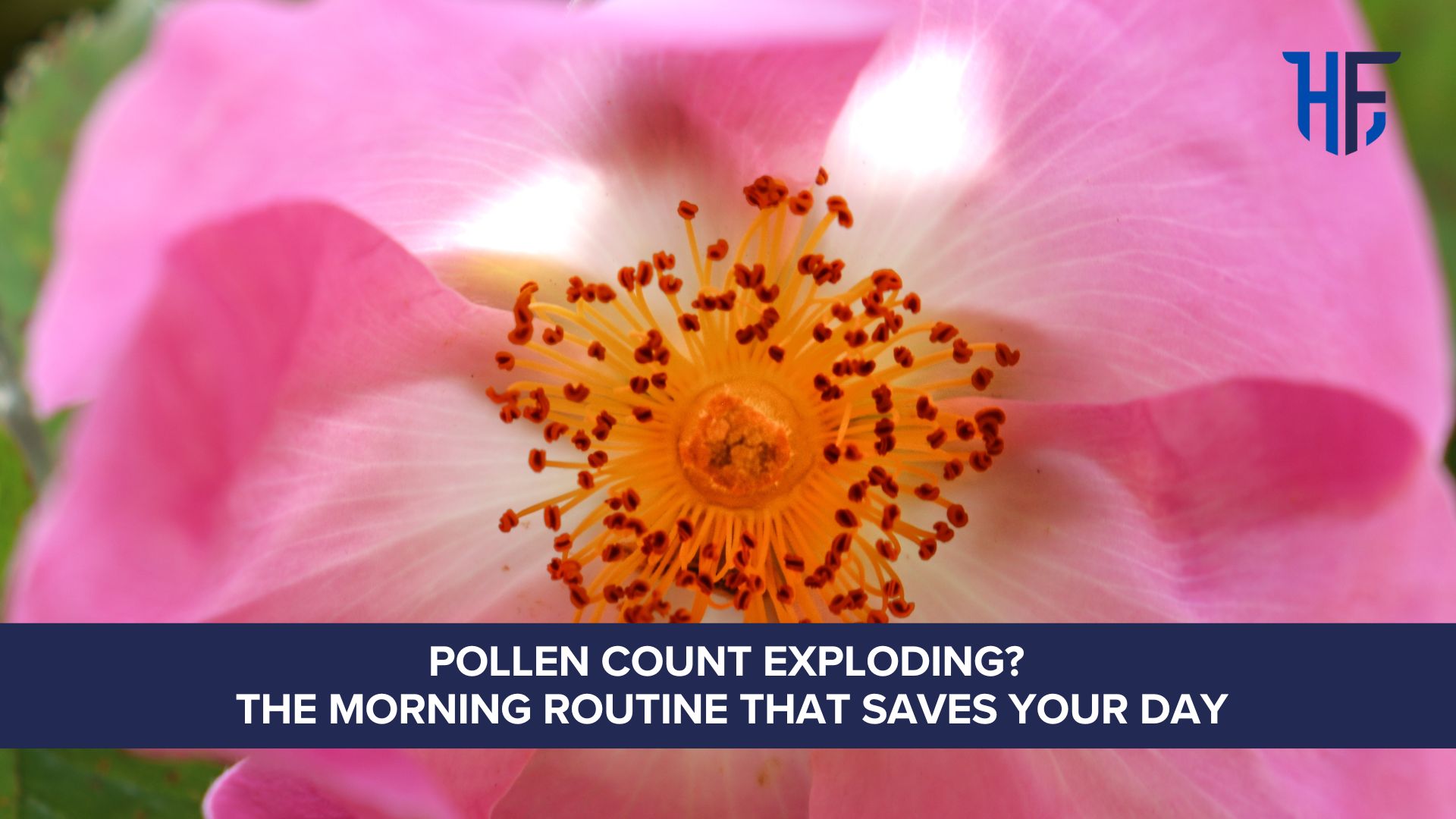 Pollen Count Exploding